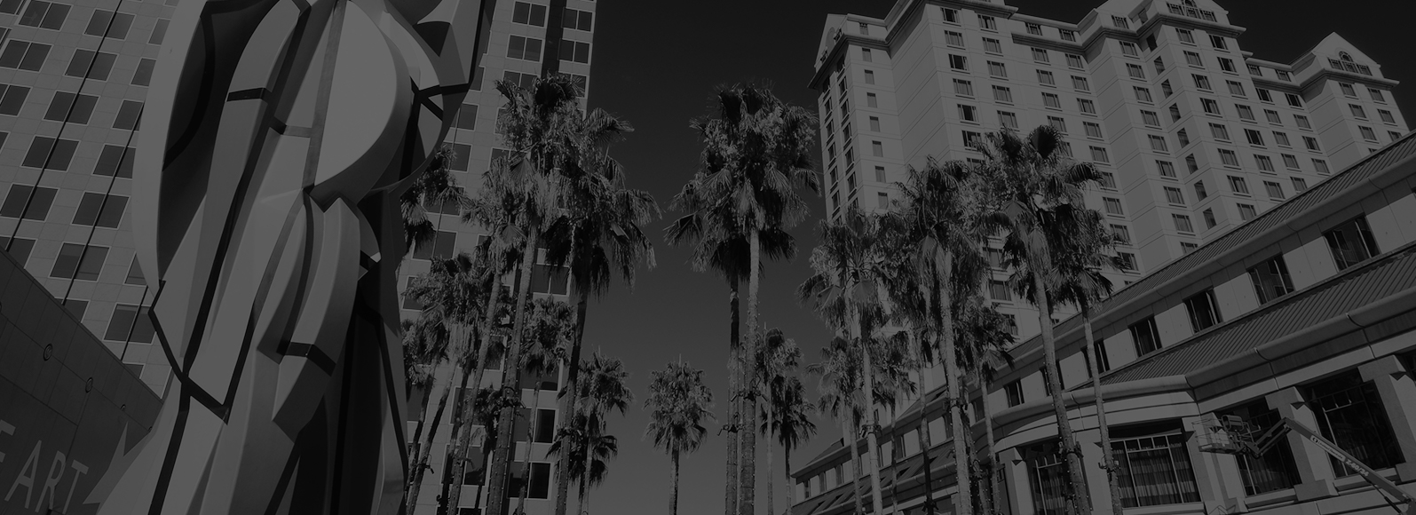 Black and white photo of San Jose with palm trees