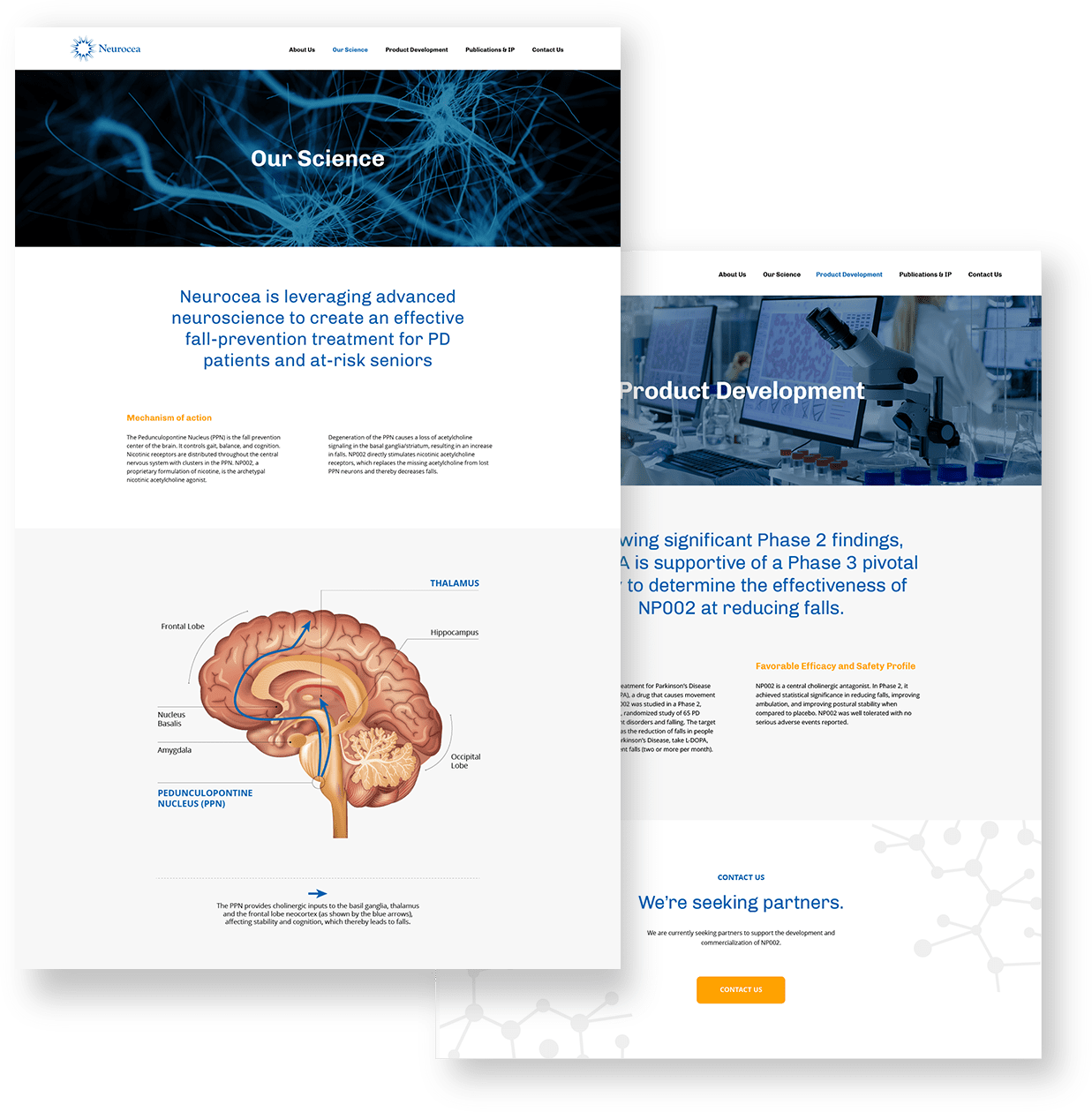 neurocea web design interior pages desktop