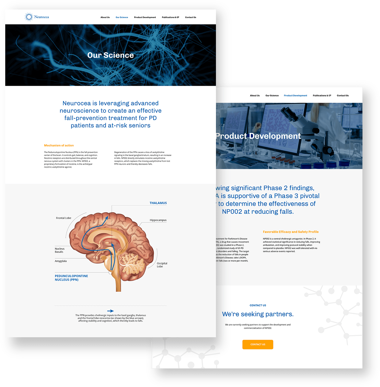 Neurocea-Web-Interior-Pages neurocea web design interior pages desktop