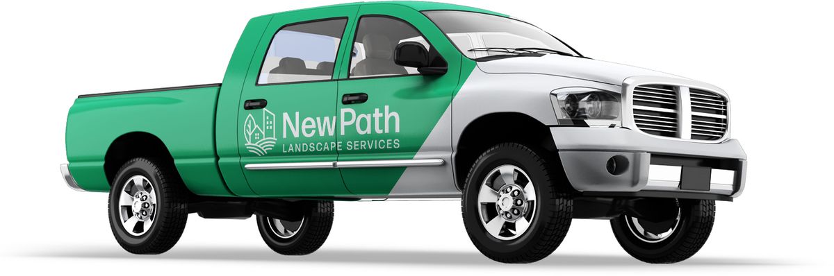 DIM_Case Study_NewPath_3_OP