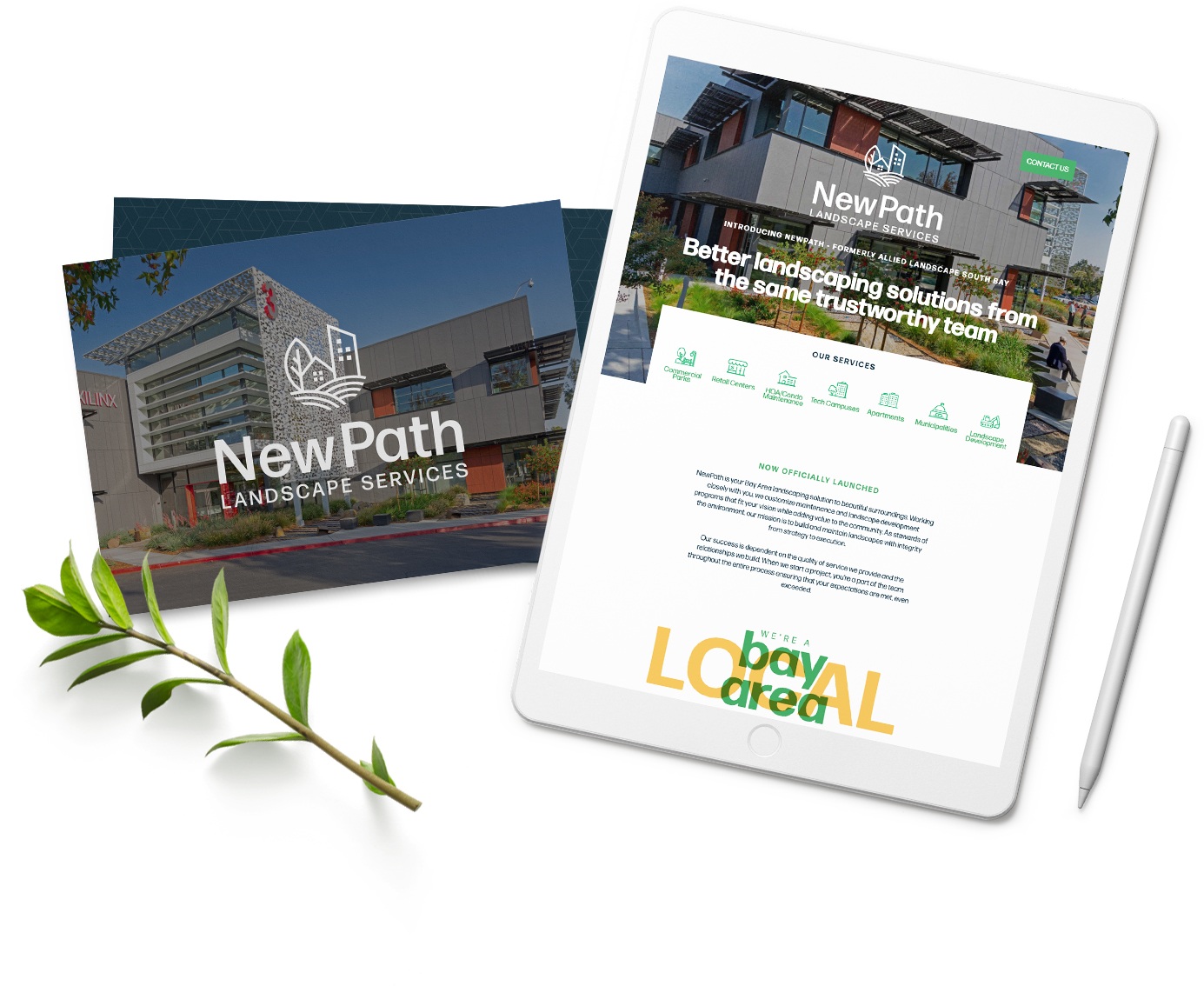 DIM_Case Study_NewPath_6_OP